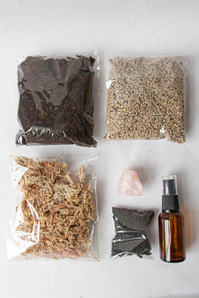 DIY Terrarium Kit
