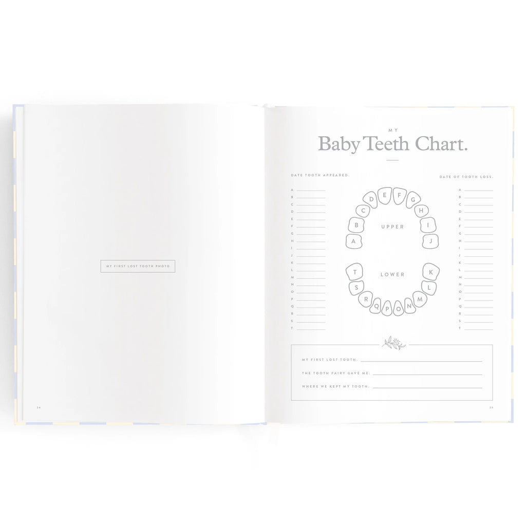 Baby Book - Blue Check