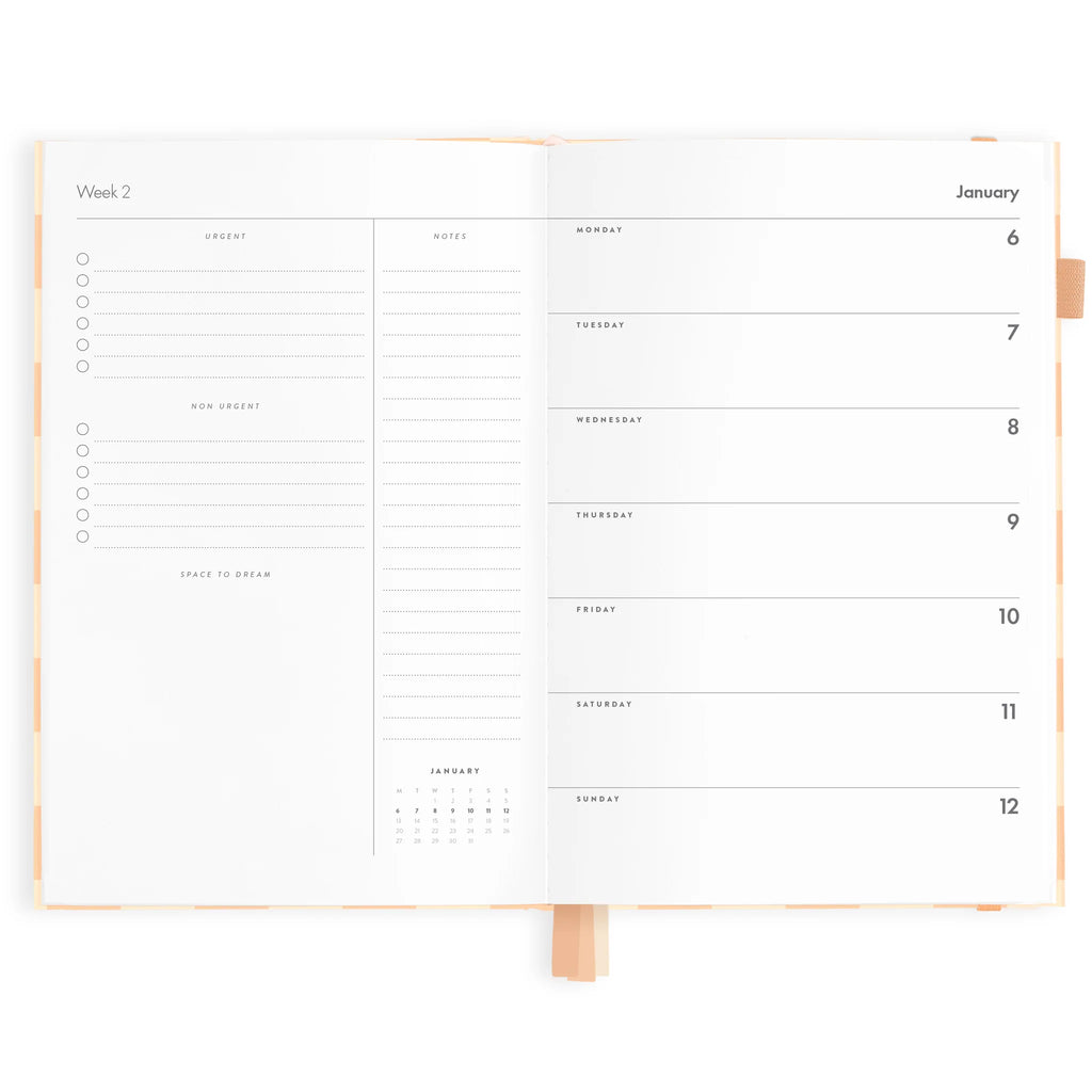 2025 A5 Planner - Salmon Check