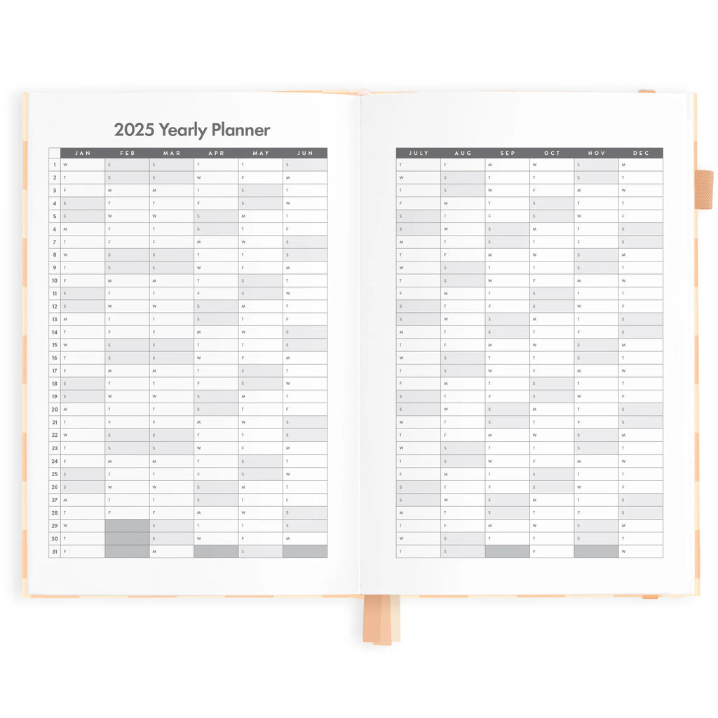 2025 A5 Planner - Salmon Check