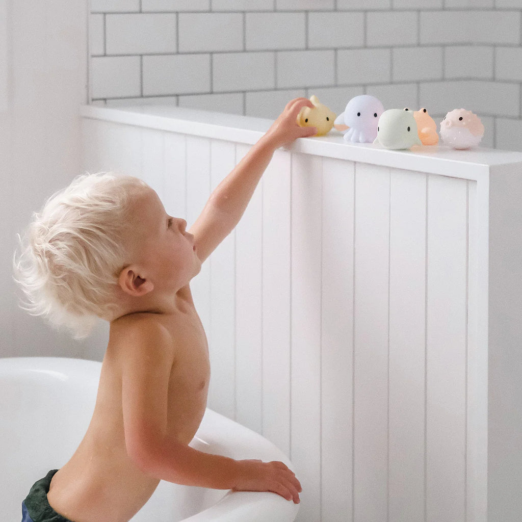 Splash Toys - Sea Animals