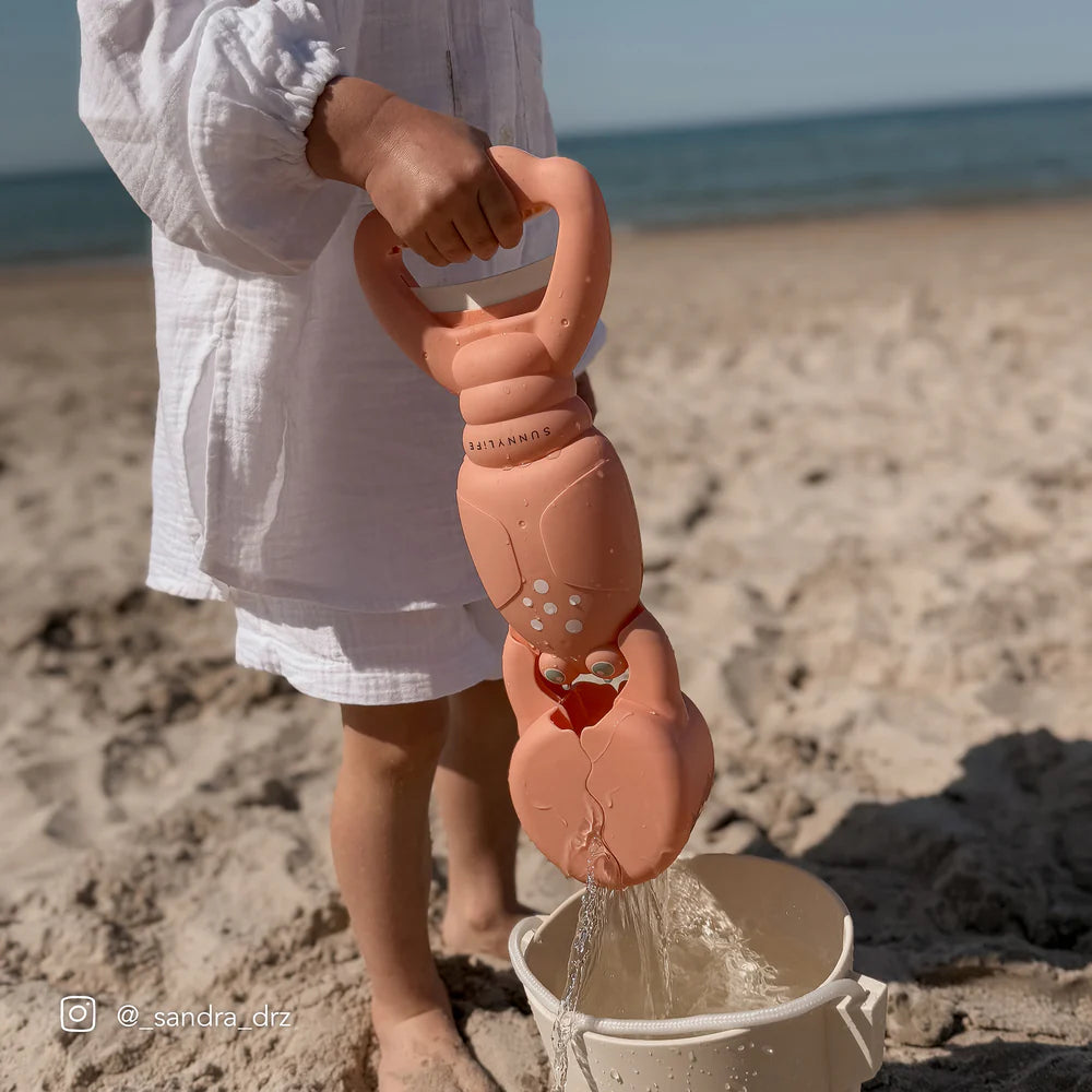 Sand Claws - Coral Lobster
