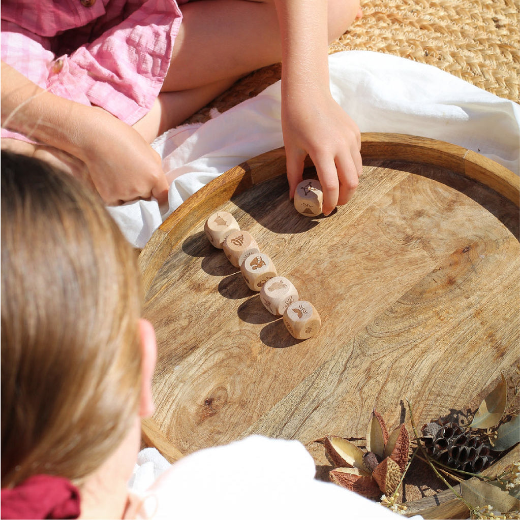 Nature Story Cubes