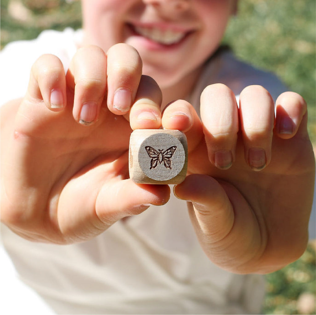 Nature Story Cubes