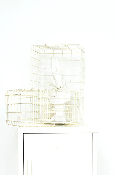 The Basket in Chalk