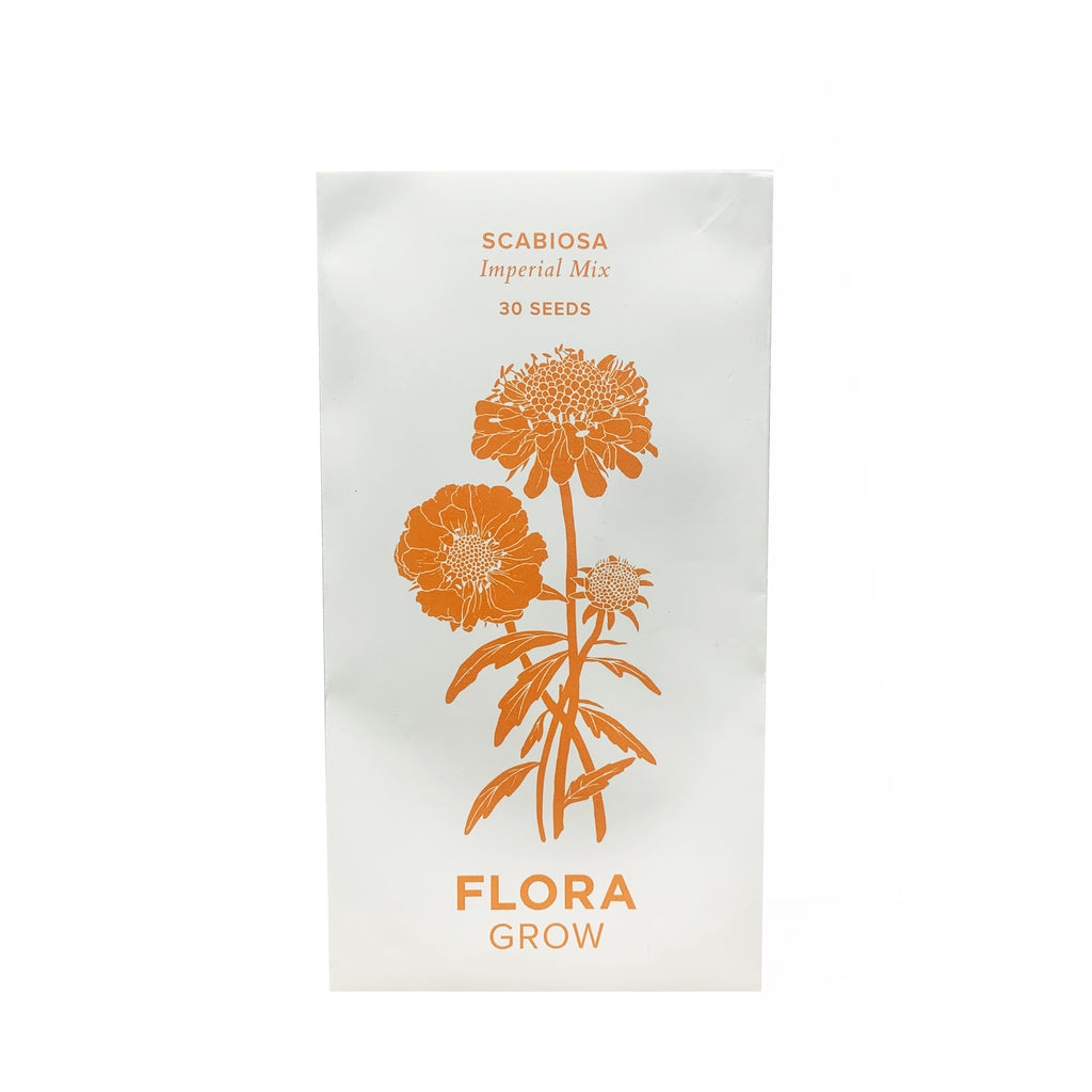 Paddington-Store-Flora-Grow-Scabiosa-Seeds