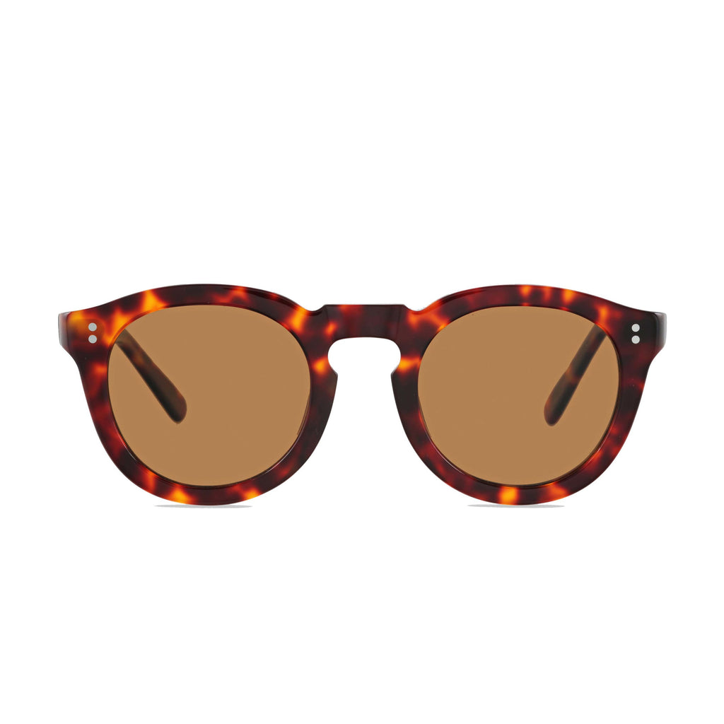 Paddington-Store-status-anxiety-sunglasses-detached-brown-tortoise-front copy