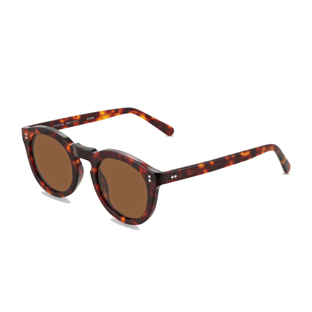 Paddington-Store-status-anxiety-sunglasses-detached-brown-tortoise-front-side copy